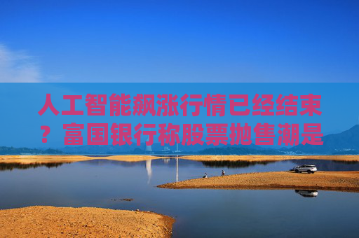 人工智能飙涨行情已经结束？富国银行称股票抛售潮是一记警钟