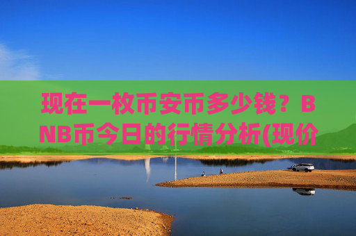 现在一枚币安币多少钱？BNB币今日的行情分析(现价4826.63元)