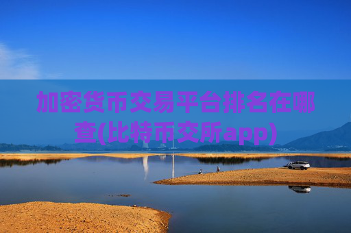 加密货币交易平台排名在哪查(比特币交所app)