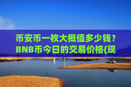 币安币一枚大概值多少钱？BNB币今日的交易价格(现价4822.98元)