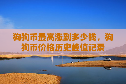 狗狗币最高涨到多少钱，狗狗币价格历史峰值记录