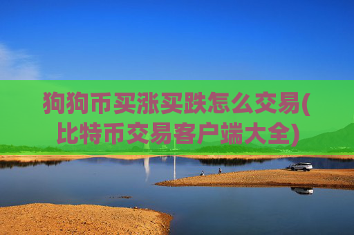 狗狗币买涨买跌怎么交易(比特币交易客户端大全)
