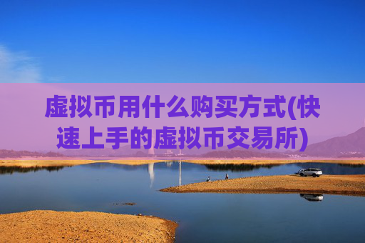 虚拟币用什么购买方式(快速上手的虚拟币交易所)