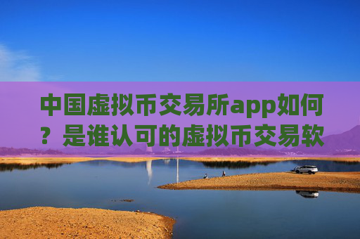 中国虚拟币交易所app如何？是谁认可的虚拟币交易软件