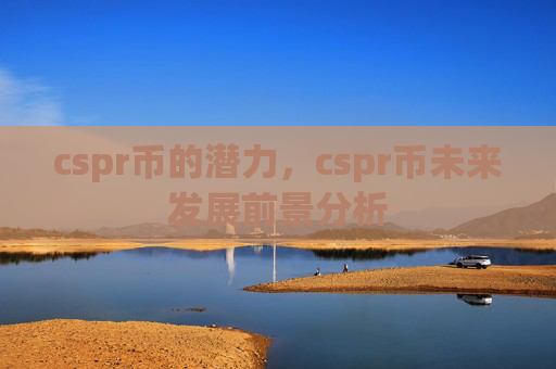 cspr币的潜力，cspr币未来发展前景分析