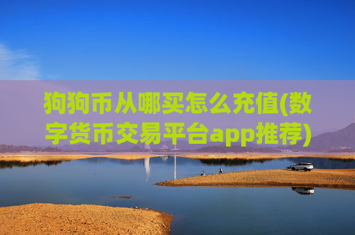狗狗币从哪买怎么充值(数字货币交易平台app推荐)