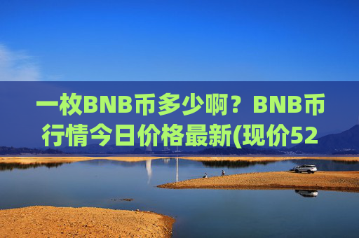 一枚BNB币多少啊？BNB币行情今日价格最新(现价5288.19元)