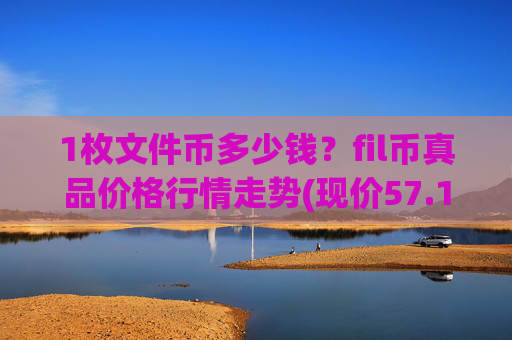 1枚文件币多少钱？fil币真品价格行情走势(现价57.1897元)