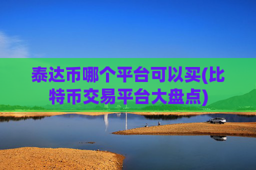 泰达币哪个平台可以买(比特币交易平台大盘点)