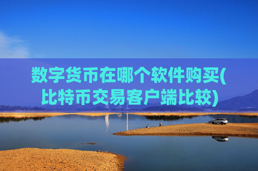 数字货币在哪个软件购买(比特币交易客户端比较)