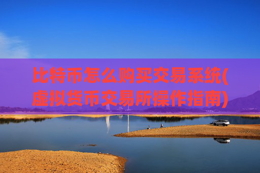 比特币怎么购买交易系统(虚拟货币交易所操作指南)