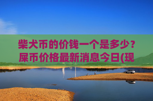 柴犬币的价钱一个是多少？屎币价格最新消息今日(现价0.00023126元)