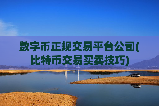 数字币正规交易平台公司(比特币交易买卖技巧)