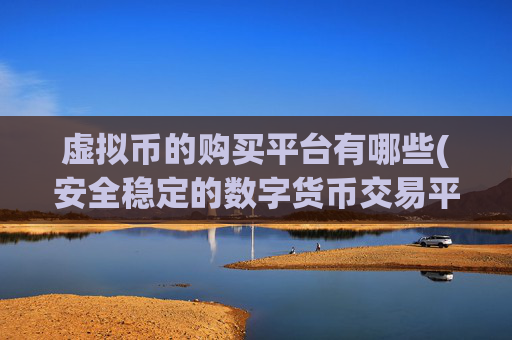 虚拟币的购买平台有哪些(安全稳定的数字货币交易平台推荐)