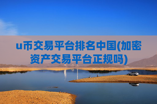 u币交易平台排名中国(加密资产交易平台正规吗)