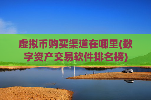 虚拟币购买渠道在哪里(数字资产交易软件排名榜)