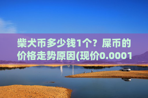 柴犬币多少钱1个？屎币的价格走势原因(现价0.00015851元)
