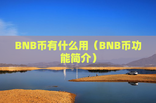 BNB币有什么用（BNB币功能简介）