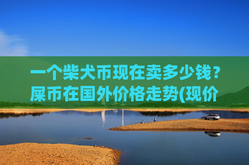 一个柴犬币现在卖多少钱？屎币在国外价格走势(现价0.00023104元)