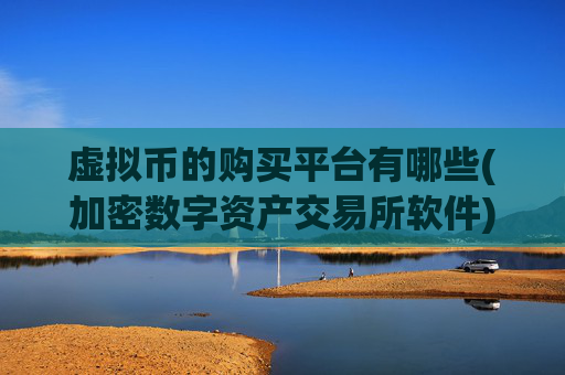 虚拟币的购买平台有哪些(加密数字资产交易所软件)