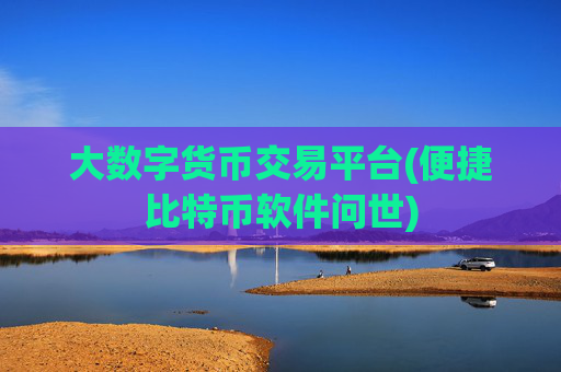 大数字货币交易平台(便捷比特币软件问世)
