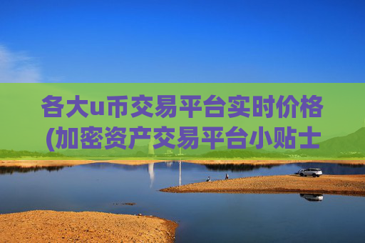 各大u币交易平台实时价格(加密资产交易平台小贴士)