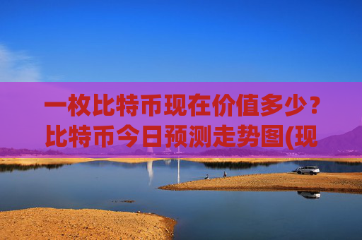 一枚比特币现在价值多少？比特币今日预测走势图(现价751261.14元)