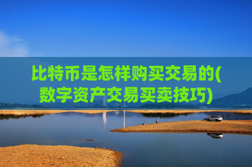 比特币是怎样购买交易的(数字资产交易买卖技巧)