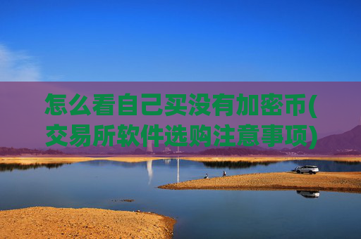 怎么看自己买没有加密币(交易所软件选购注意事项)