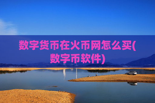 数字货币在火币网怎么买(数字币软件)