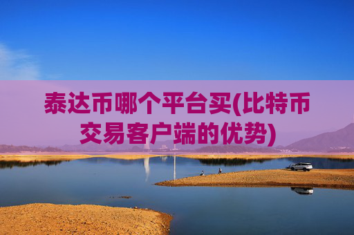 泰达币哪个平台买(比特币交易客户端的优势)