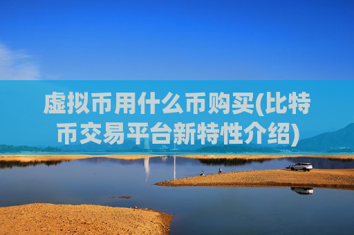 虚拟币用什么币购买(比特币交易平台新特性介绍)