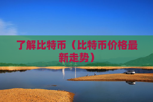 了解比特币（比特币价格最新走势）