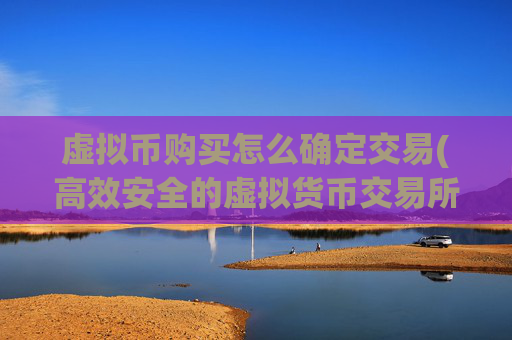 虚拟币购买怎么确定交易(高效安全的虚拟货币交易所)