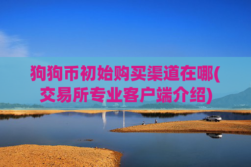 狗狗币初始购买渠道在哪(交易所专业客户端介绍)