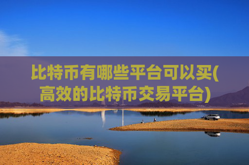 比特币有哪些平台可以买(高效的比特币交易平台)