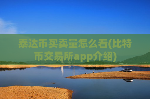 泰达币买卖量怎么看(比特币交易所app介绍)