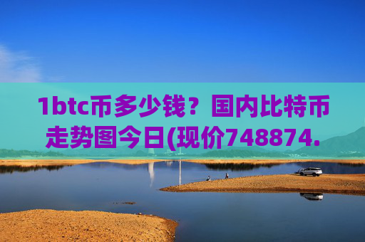 1btc币多少钱?国内比特币走势图今日(现价748874.11元)