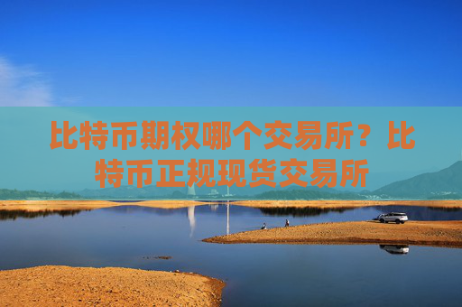 比特币期权哪个交易所？比特币正规现货交易所