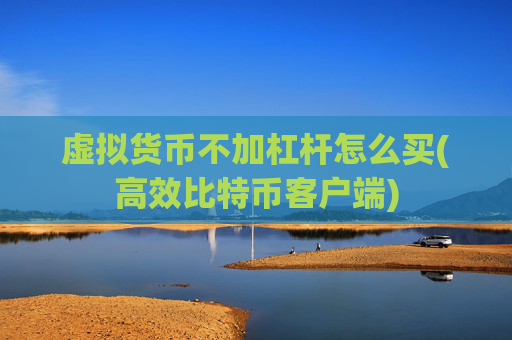 虚拟货币不加杠杆怎么买(高效比特币客户端)