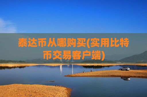 泰达币从哪购买(实用比特币交易客户端)