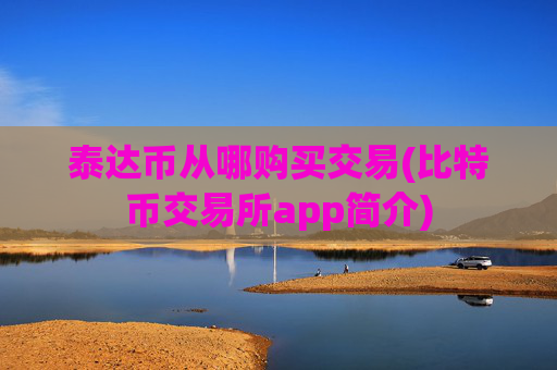泰达币从哪购买交易(比特币交易所app简介)