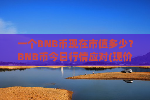 一个BNB币现在市值多少？BNB币今日行情应对(现价5277.8元)