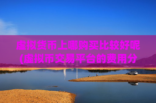 虚拟货币上哪购买比较好呢(虚拟币交易平台的费用分析)