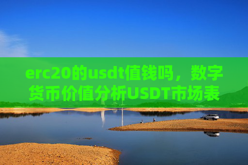erc20的usdt值钱吗，数字货币价值分析USDT市场表现