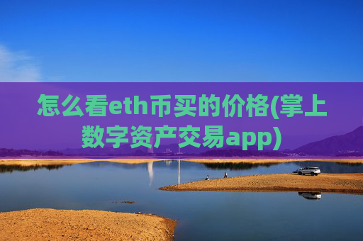 怎么看eth币买的价格(掌上数字资产交易app)