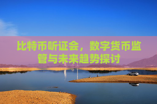 比特币听证会，数字货币监管与未来趋势探讨