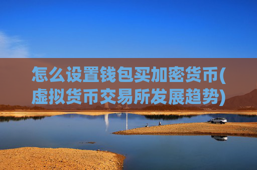 怎么设置钱包买加密货币(虚拟货币交易所发展趋势)