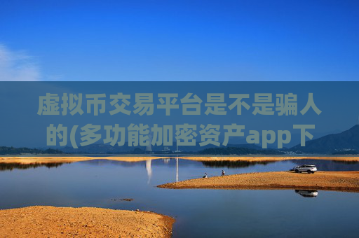 虚拟币交易平台是不是骗人的(多功能加密资产app下载)