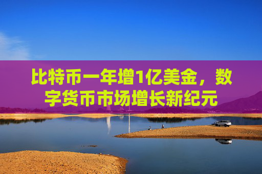 比特币一年增1亿美金，数字货币市场增长新纪元